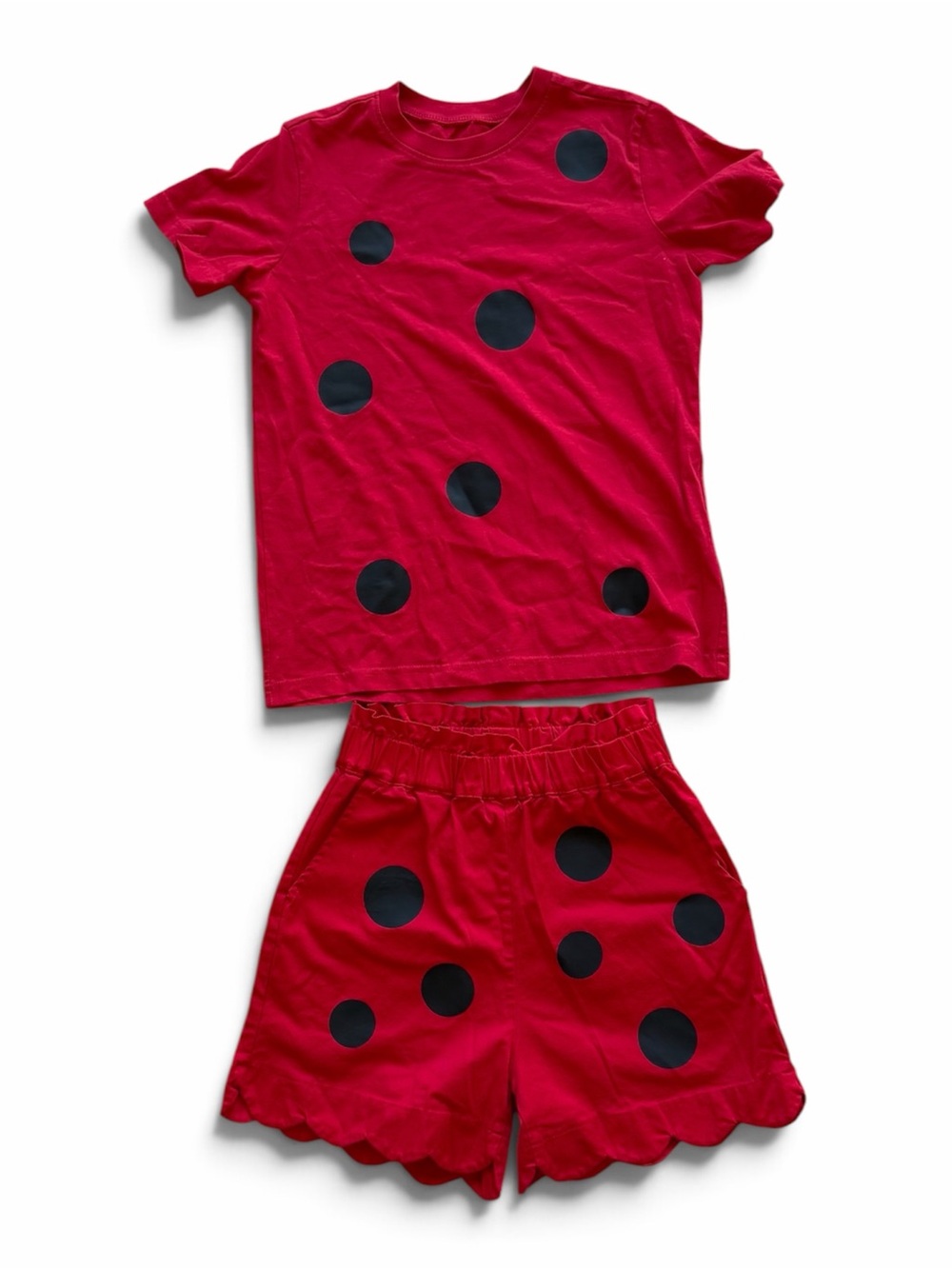 Girls Ladybug Costume Size 8-9